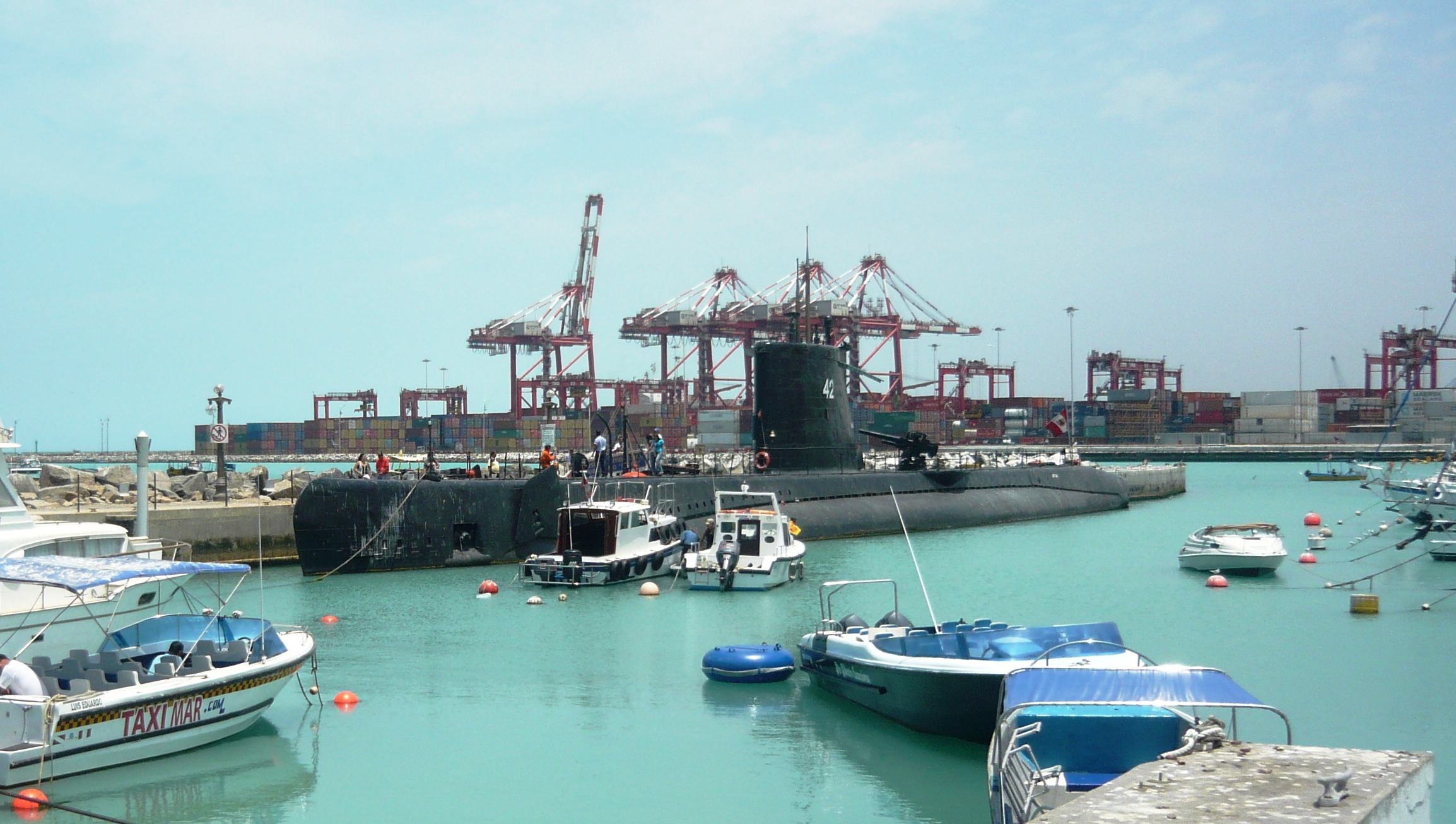 P1100973 - copia.JPG