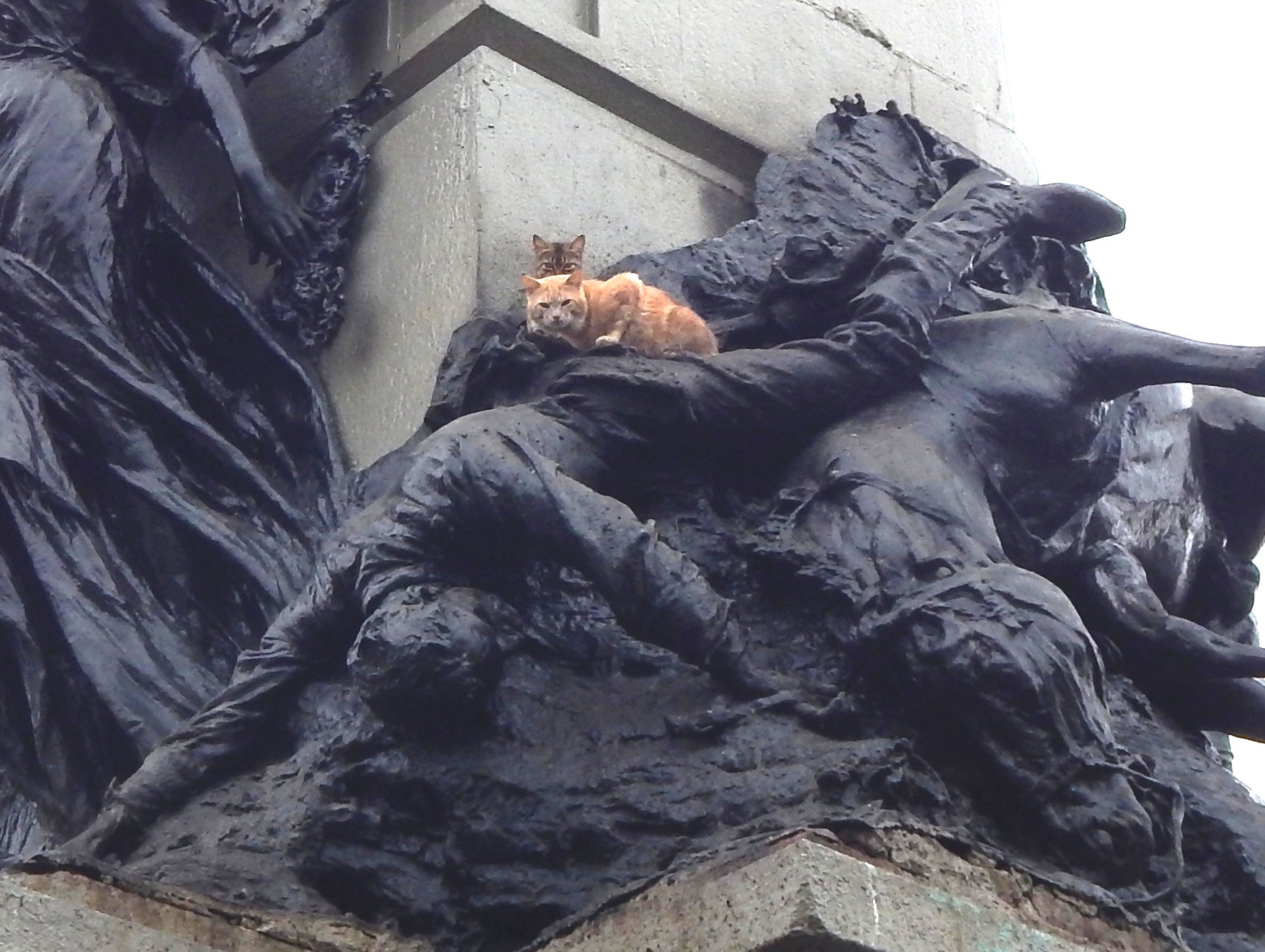 Copia de DSCN6366 - copia